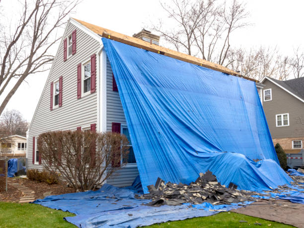 Best Historical Building Siding Restoration  in Henryetta, OK